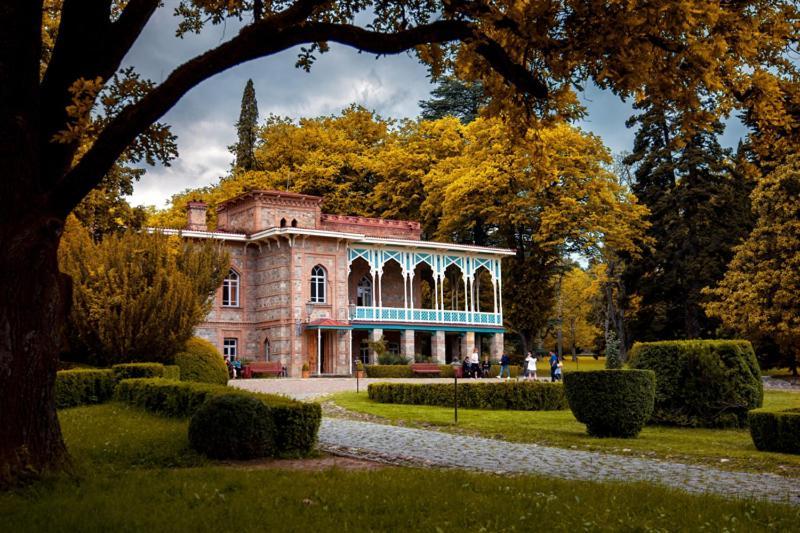 Nino'S House Daire Tsinandali Dış mekan fotoğraf